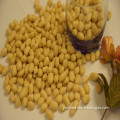 Shandong big blanched peanuts for sale new crop 4151